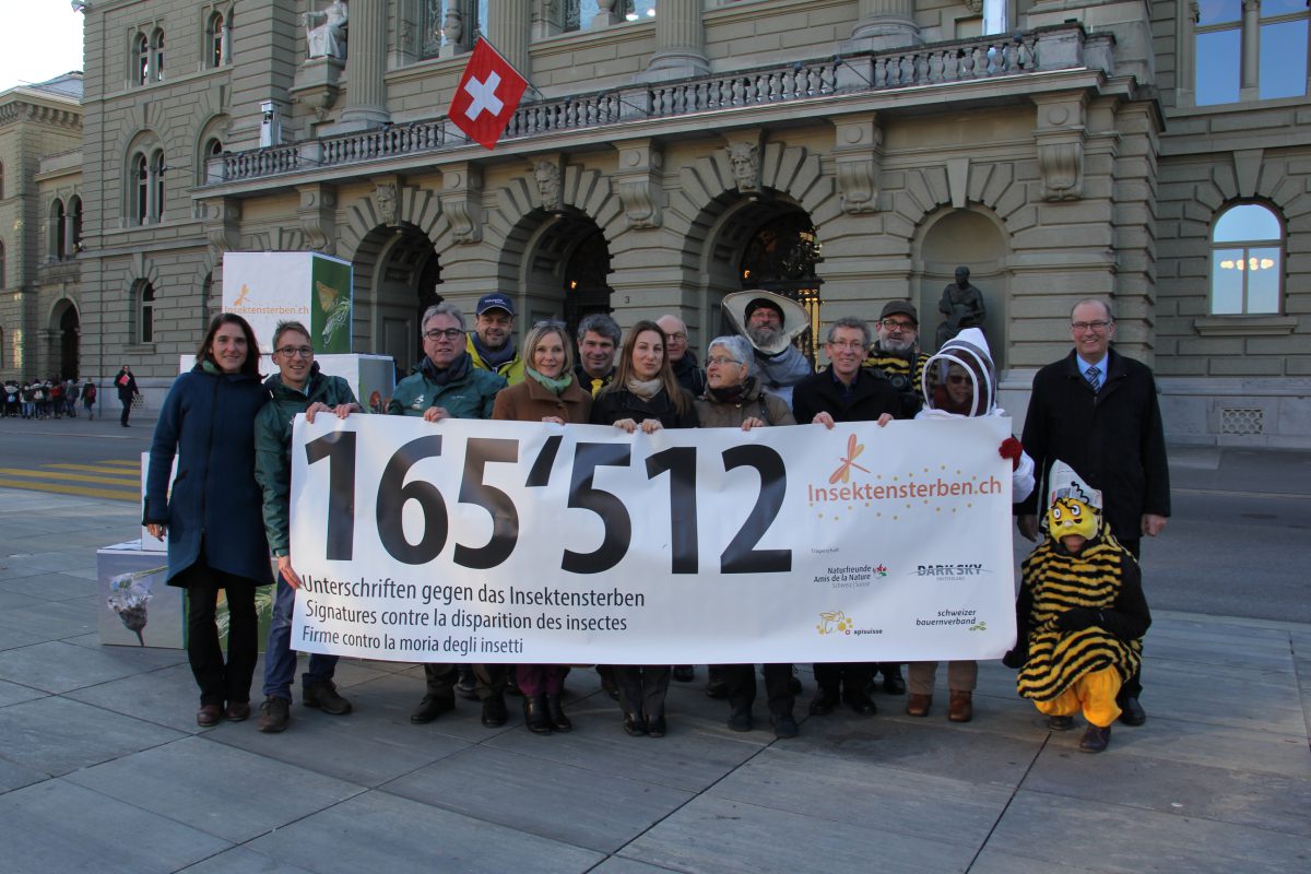 Consegnata oggi a Berna con 165’512 firme la petizione «chiediamoci perché scompaiono gli insetti»