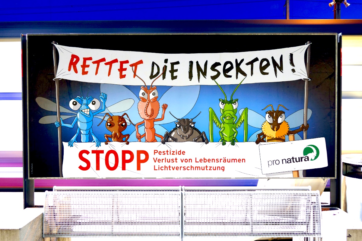 Rettet die Insekten! Stopp Pestizide, Verlust von Lebensräumen und Lichtverschmutzung. pro natura