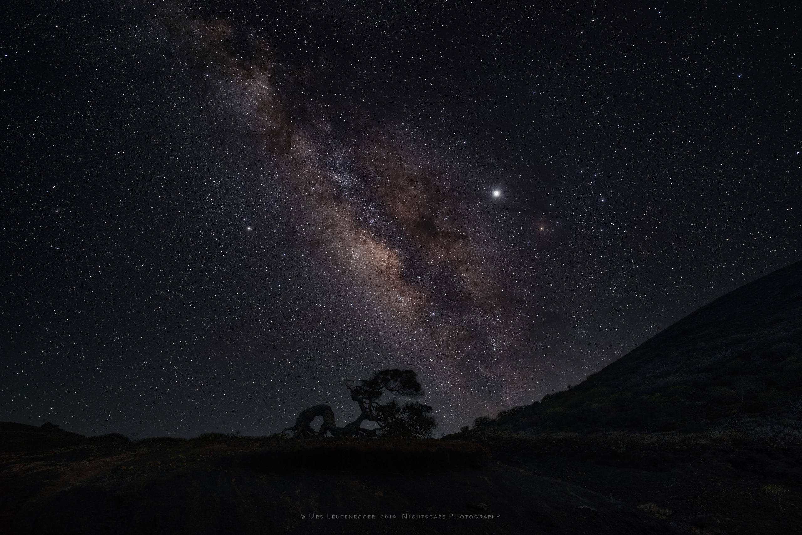 Jupiter close to Antares, Scorpio; Saturn in Sagittarius, galactic center of the Milky Way. Phoenician Juniper silhouette at horizon on El Hierro. No soft focus applied.