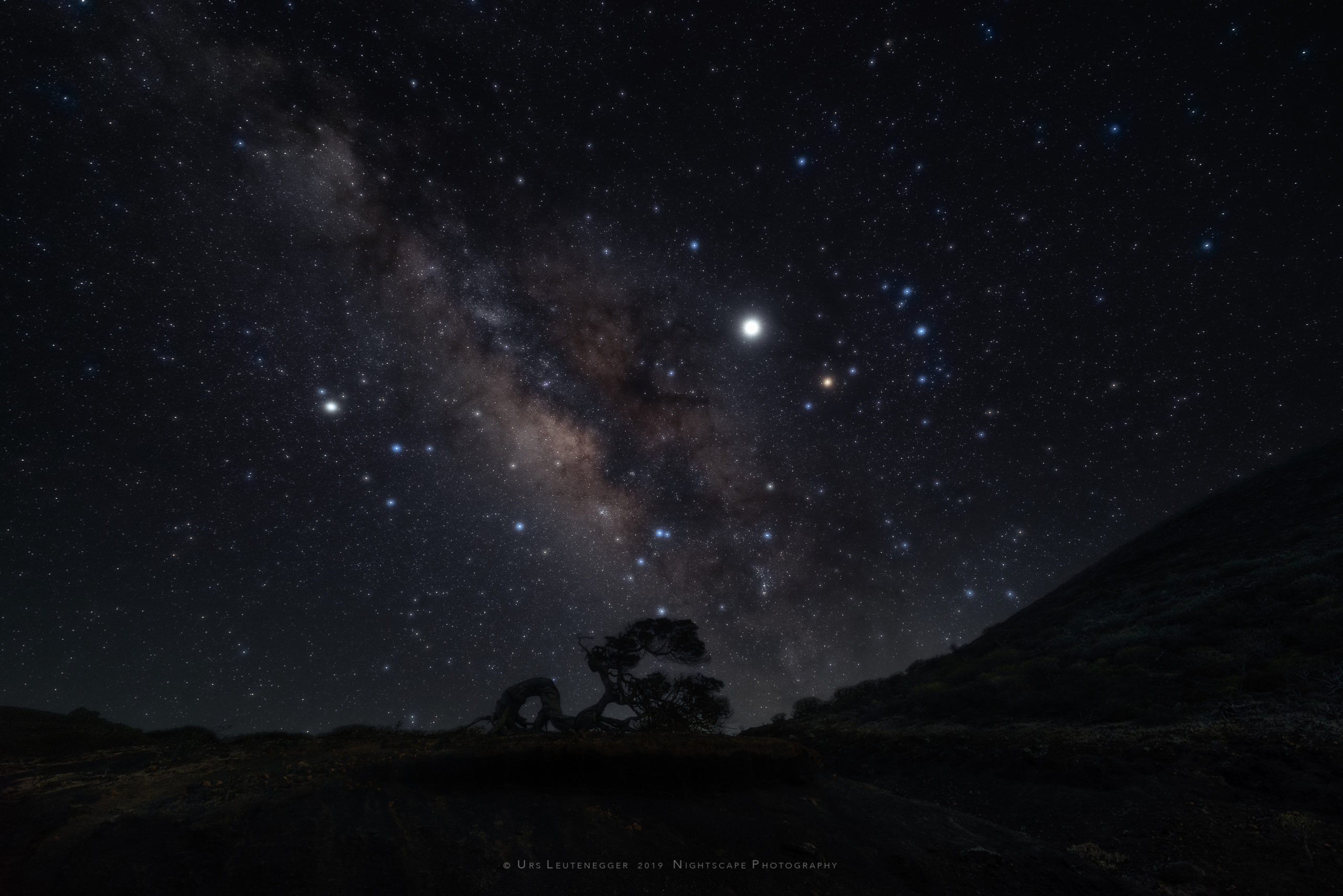 Soft focus allows for better visibility of the bright against the faint stars. Jupiter close to Antares, Scorpio; Saturn in Sagittarius, galactic center of the Milky Way. Phoenician Juniper silhouette at horizon on El Hierro.