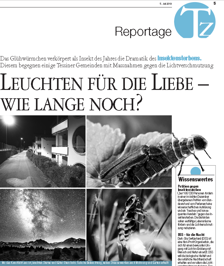 Reportage: Tessiner Zeitung – Leuchten für die liebe- Wie lange noch?