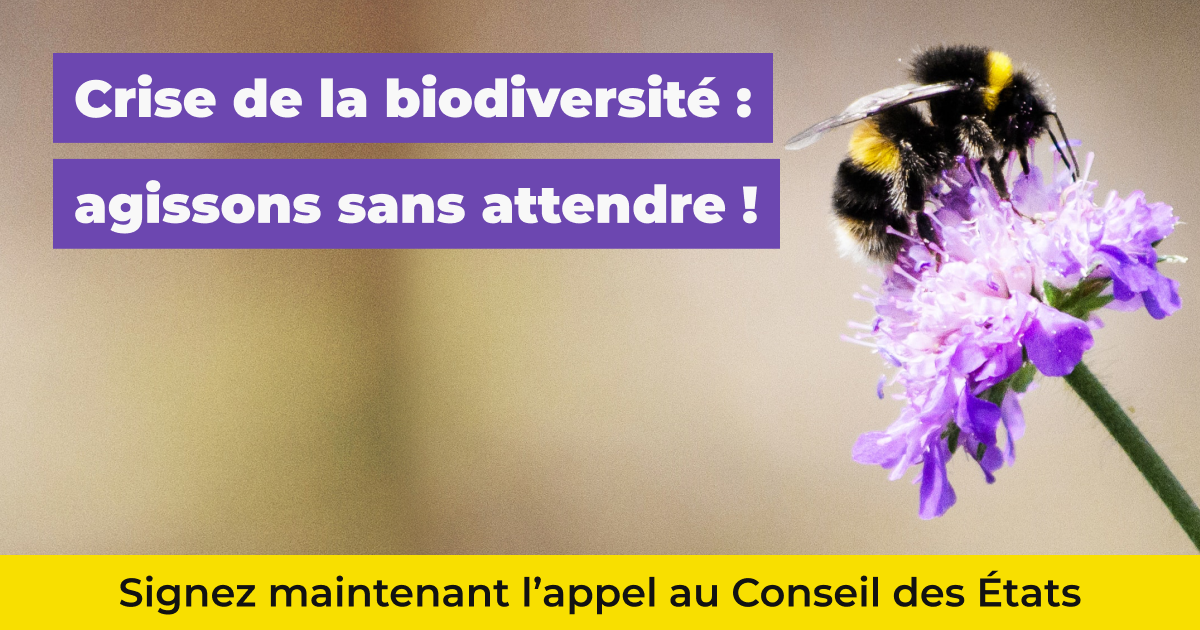 La nature a besoin de signatures!